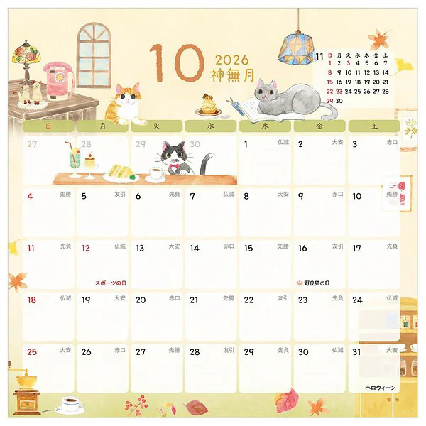 Image du produit 11